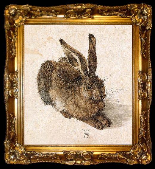 framed  Albrecht Durer Young Hare, ta009-2